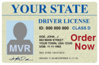 florida dmv drivers license check